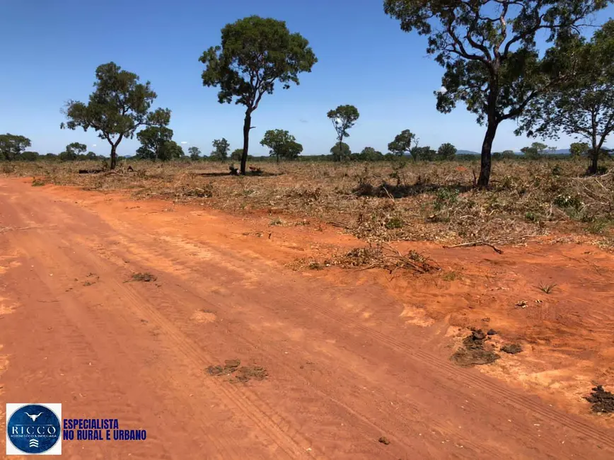 Fazenda / Haras à venda, 198m2 em Pedro Afonso - TO - imagem 5 Foto 5 de Fazenda / Haras à venda, 198m2 em Pedro Afonso - TO