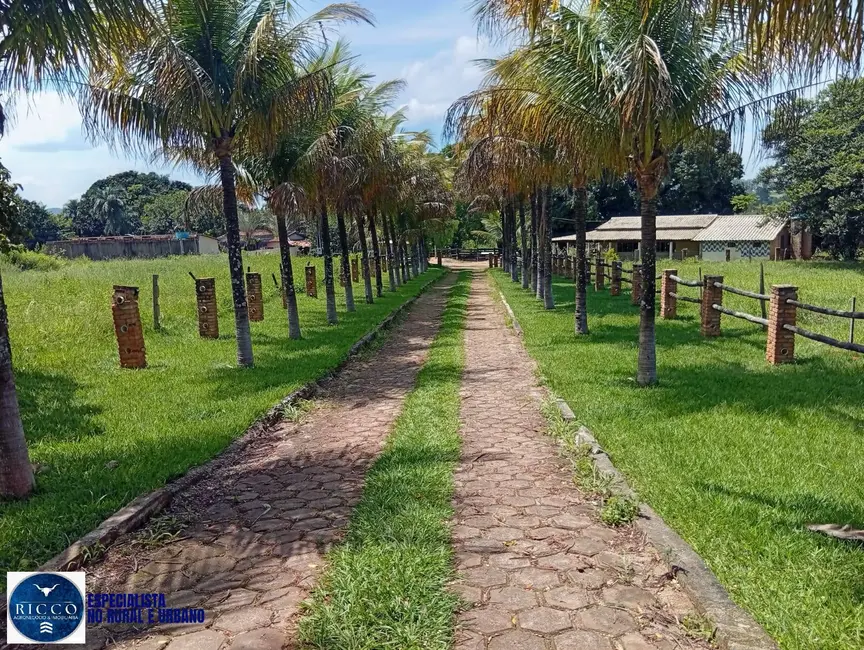 Foto 3 de Chácara com 4 quartos à venda em Mossamedes - GO
