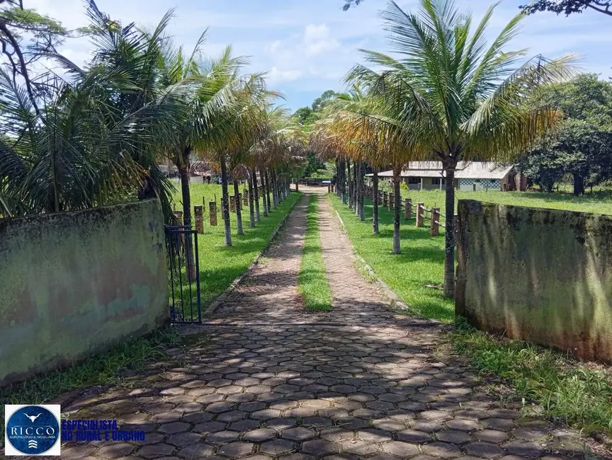 Foto 4 de Chácara com 4 quartos à venda em Mossamedes - GO