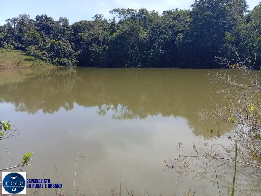 Foto 6 de Chácara com 4 quartos à venda em Mossamedes - GO