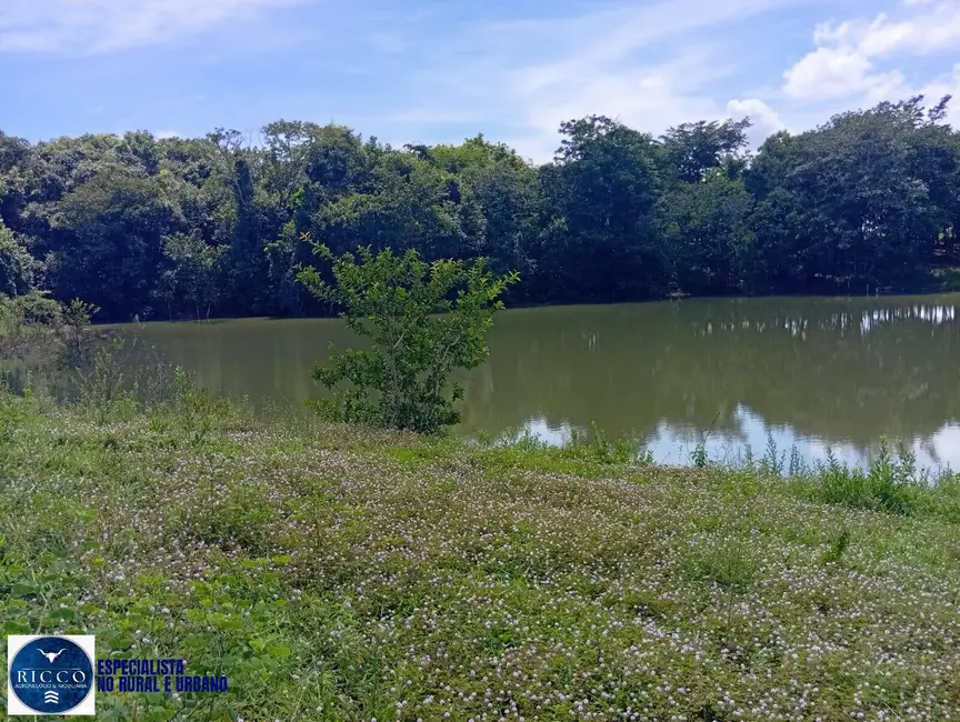 Foto 5 de Chácara com 4 quartos à venda em Mossamedes - GO