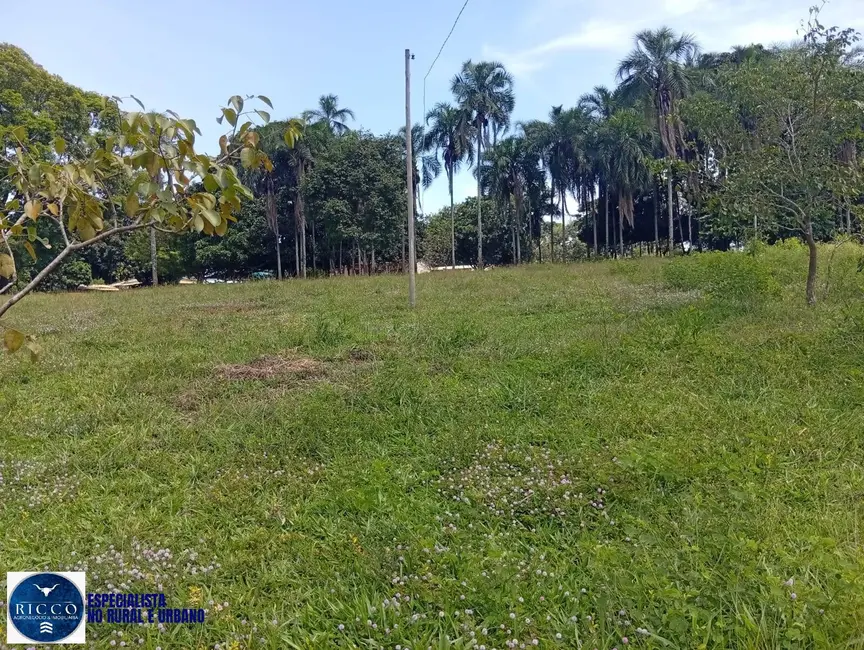 Foto 7 de Chácara com 4 quartos à venda em Mossamedes - GO