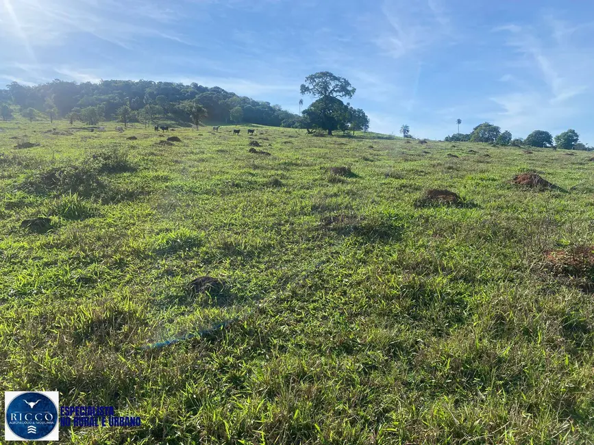 Foto 6 de Chácara à venda em Taquaral De Goias - GO