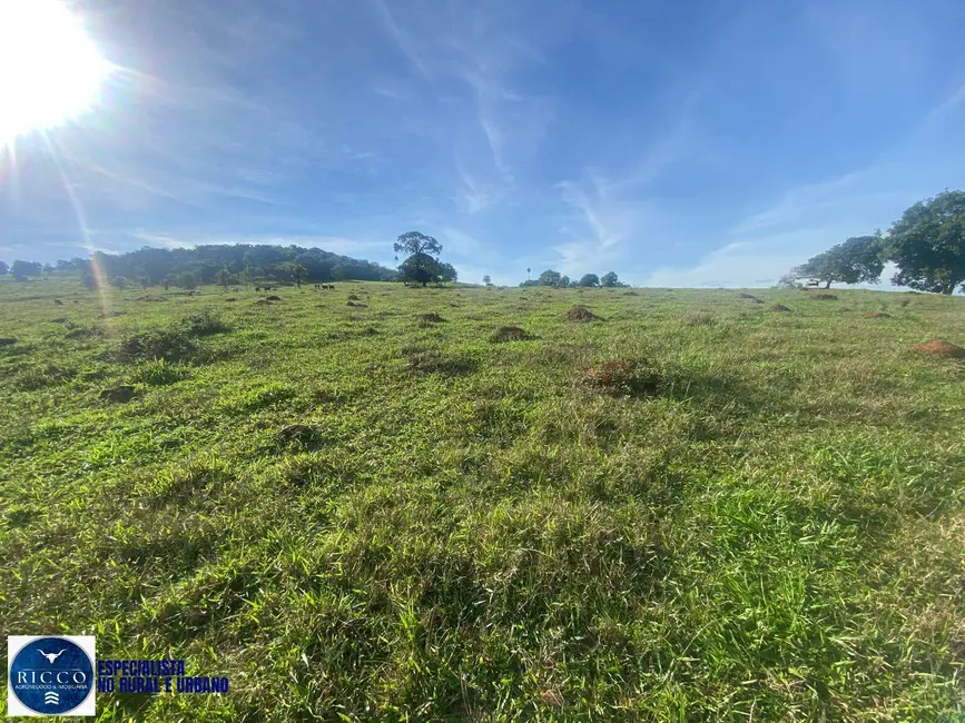 Foto 8 de Chácara à venda em Taquaral De Goias - GO