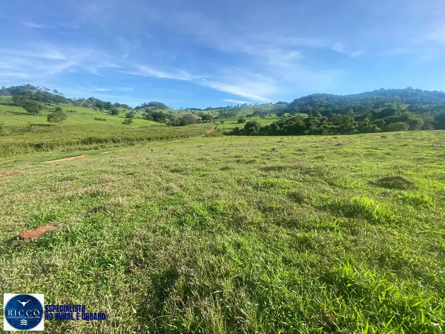 Foto 5 de Chácara à venda em Taquaral De Goias - GO