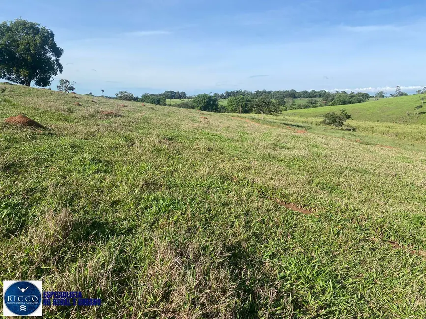 Foto 4 de Chácara à venda em Taquaral De Goias - GO