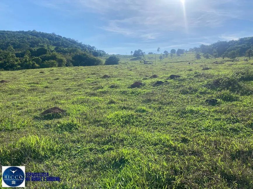 Foto 9 de Chácara à venda em Taquaral De Goias - GO