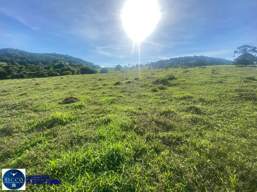 Foto 3 de Chácara à venda em Taquaral De Goias - GO