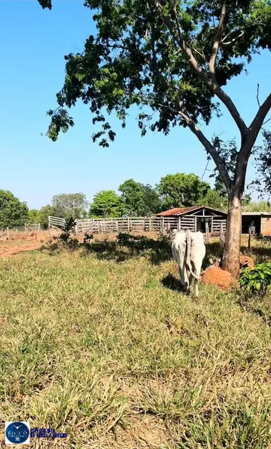 Foto 3 de Fazenda / Haras com 3 quartos à venda, 32m2 em Amaralina - GO