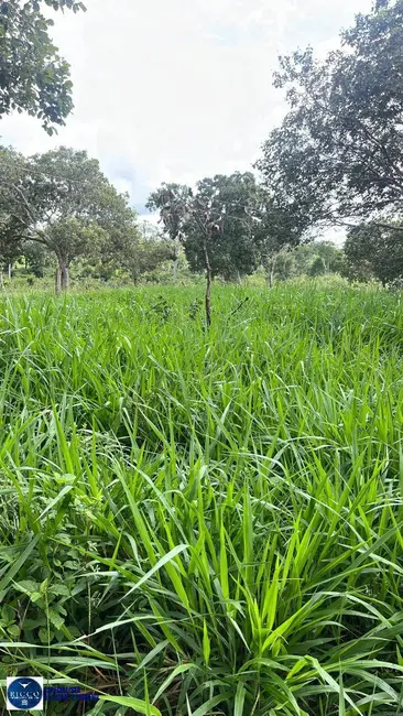 Foto 9 de Fazenda / Haras com 3 quartos à venda, 32m2 em Amaralina - GO
