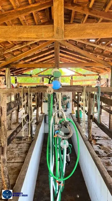 Foto 4 de Fazenda / Haras com 3 quartos à venda, 32m2 em Amaralina - GO