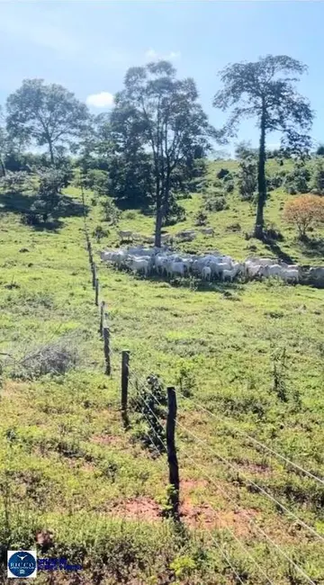 Foto 6 de Fazenda / Haras com 3 quartos à venda, 32m2 em Amaralina - GO