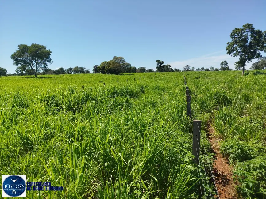 Foto 7 de Fazenda / Haras com 3 quartos à venda, 21m2 em Santa Terezinha De Goias - GO