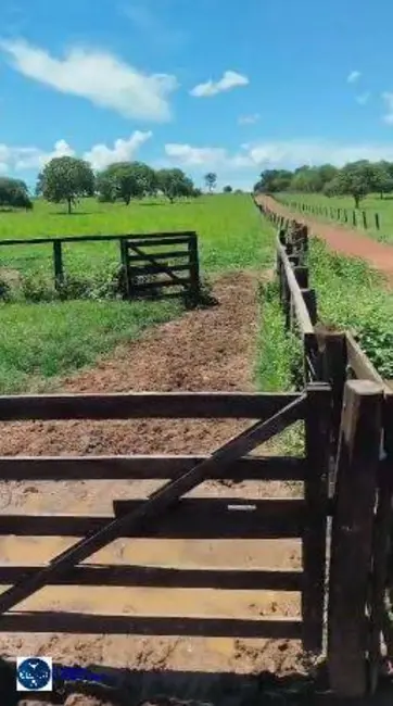 Foto 3 de Fazenda / Haras com 3 quartos à venda, 21m2 em Santa Terezinha De Goias - GO