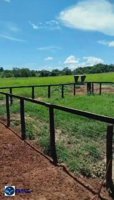 Foto 4 de Fazenda / Haras com 3 quartos à venda, 21m2 em Santa Terezinha De Goias - GO