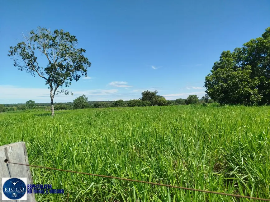 Foto 1 de Fazenda / Haras com 3 quartos à venda, 21m2 em Santa Terezinha De Goias - GO
