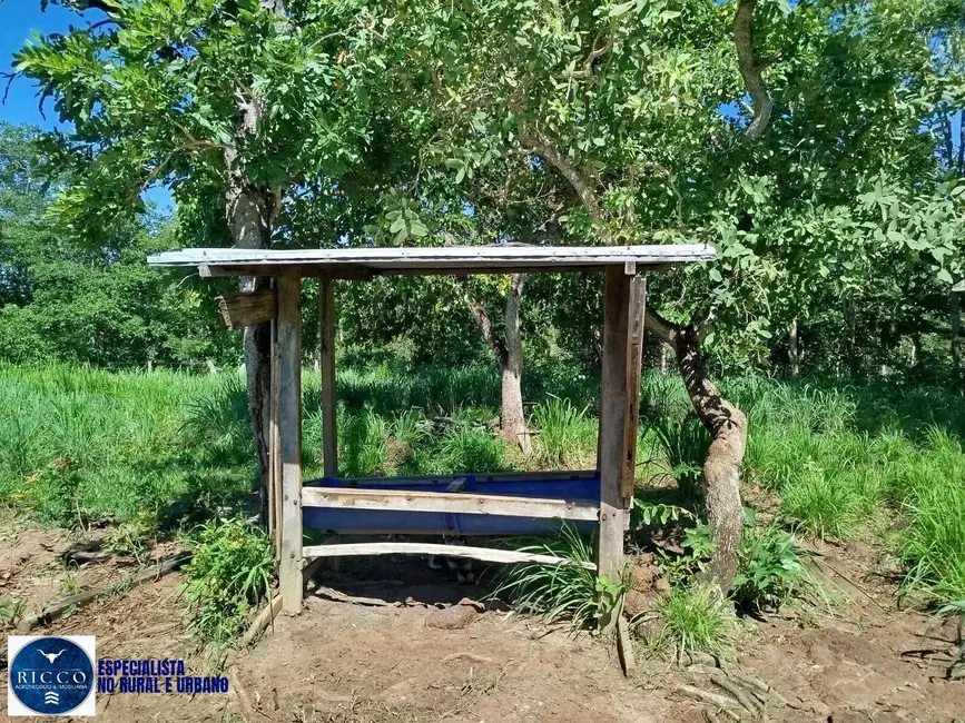 Foto 9 de Fazenda / Haras com 3 quartos à venda, 21m2 em Santa Terezinha De Goias - GO