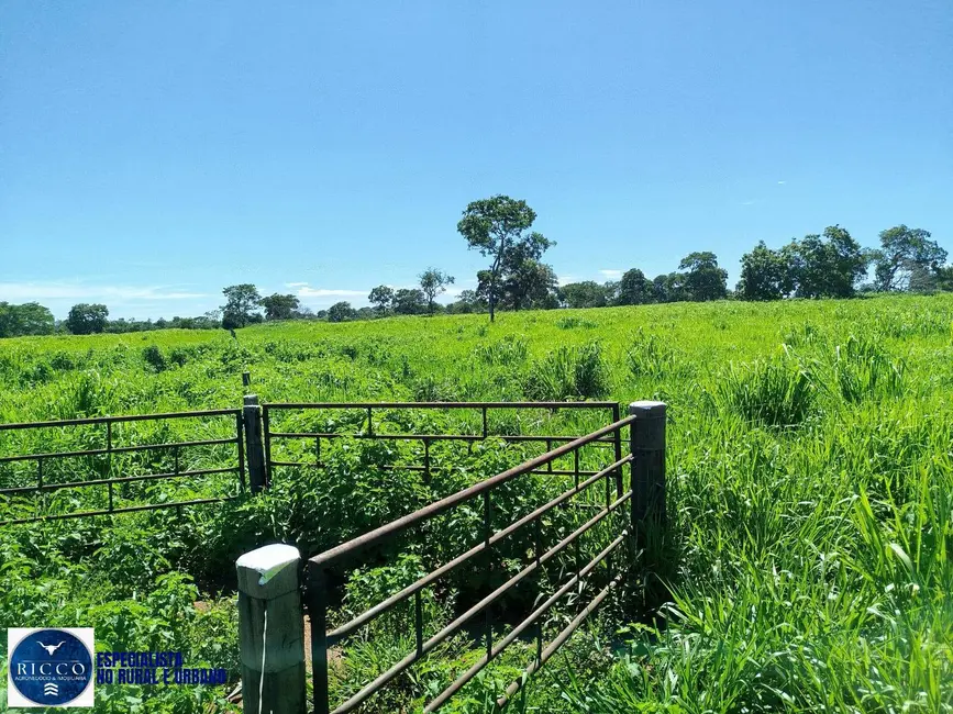 Foto 6 de Fazenda / Haras com 3 quartos à venda, 21m2 em Santa Terezinha De Goias - GO
