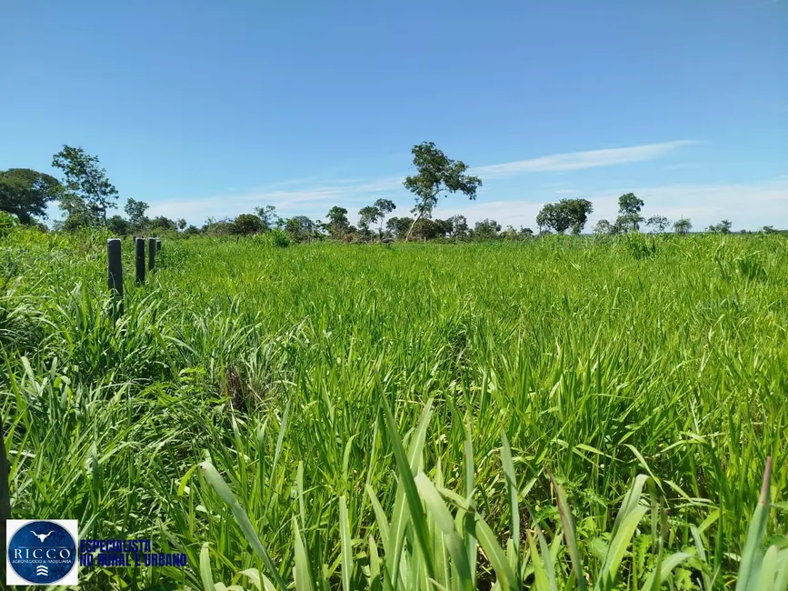 Foto 8 de Fazenda / Haras com 3 quartos à venda, 21m2 em Santa Terezinha De Goias - GO