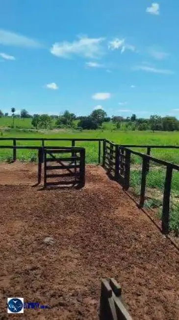 Foto 2 de Fazenda / Haras com 3 quartos à venda, 21m2 em Santa Terezinha De Goias - GO