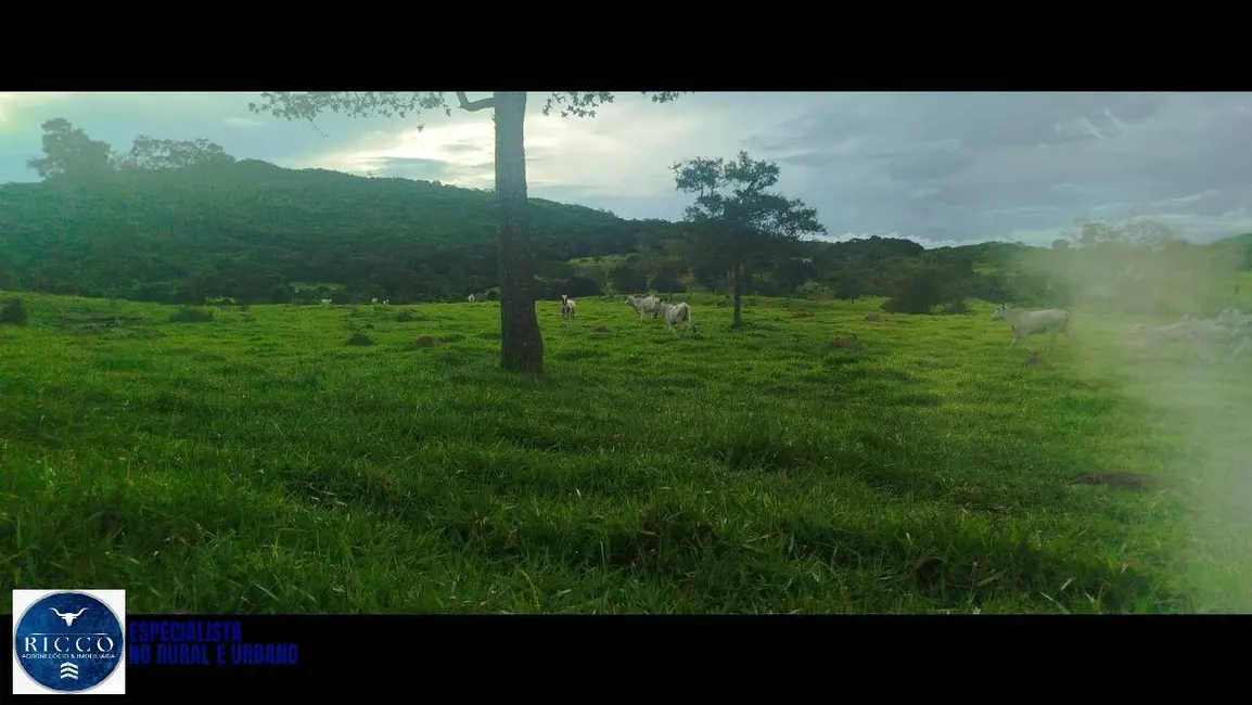 Foto 4 de Sítio / Rancho à venda, 18m2 em Pirenopolis - GO
