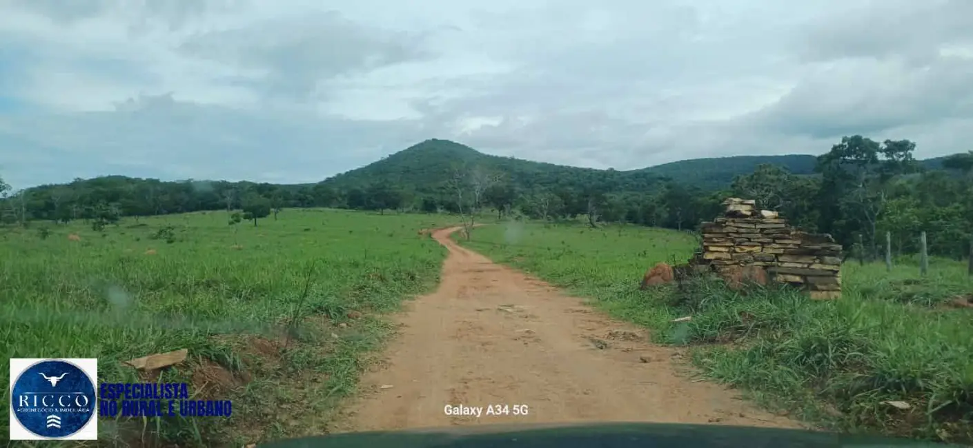 Foto 9 de Fazenda / Haras com 3 quartos à venda, 37m2 em Pirenopolis - GO