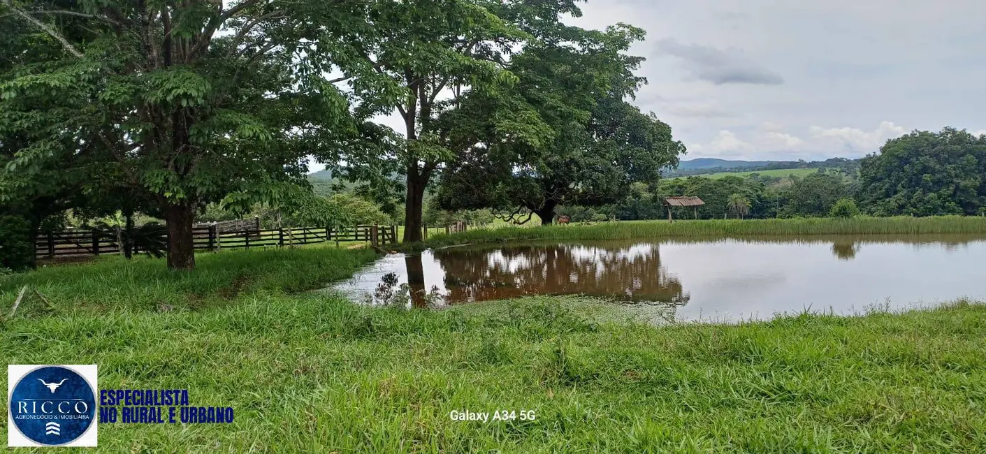 Foto 3 de Fazenda / Haras com 3 quartos à venda, 37m2 em Pirenopolis - GO