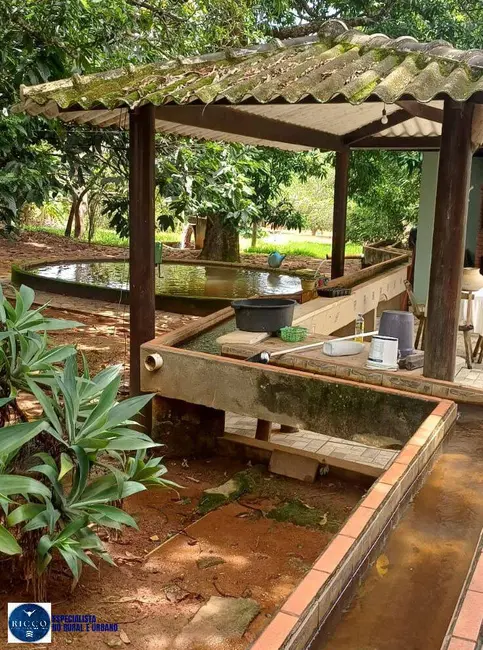 Foto 5 de Fazenda / Haras com 3 quartos à venda, 37m2 em Pirenopolis - GO