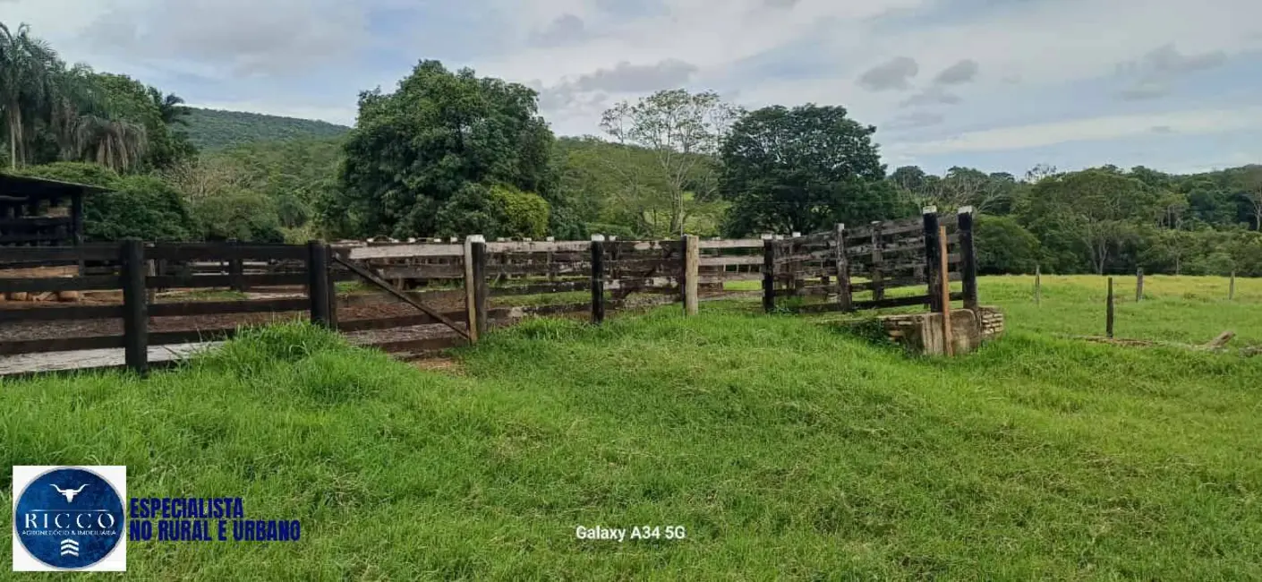 Foto 6 de Fazenda / Haras com 3 quartos à venda, 37m2 em Pirenopolis - GO
