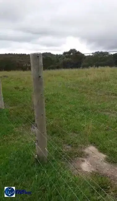 Foto 7 de Fazenda / Haras à venda, 45m2 em Goiás - GO