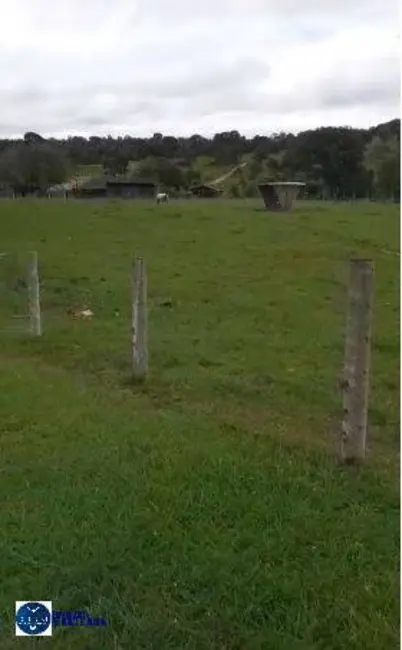 Foto 6 de Fazenda / Haras à venda, 45m2 em Goiás - GO