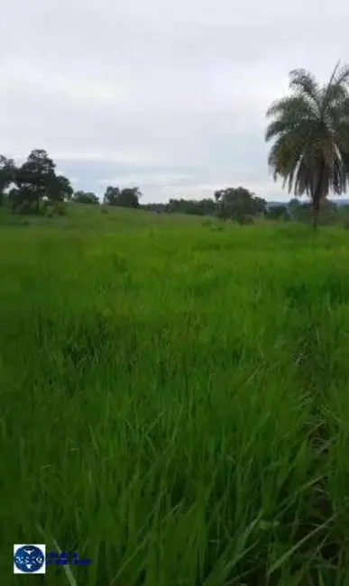 Foto 5 de Fazenda / Haras à venda, 45m2 em Goiás - GO
