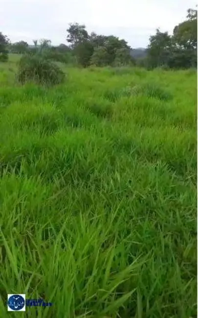 Foto 4 de Fazenda / Haras à venda, 45m2 em Goiás - GO