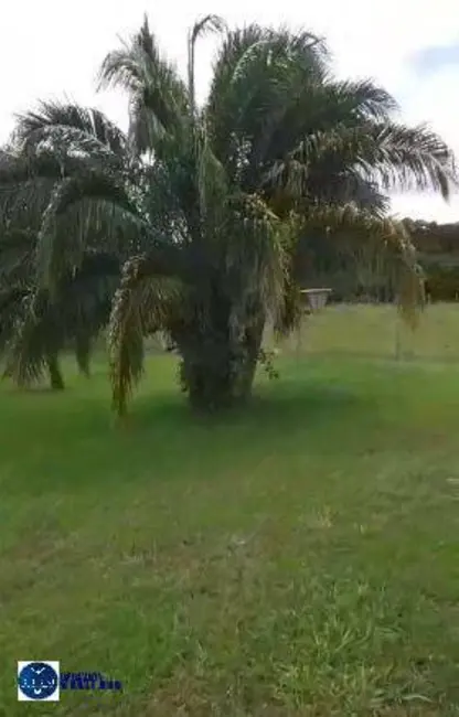 Foto 8 de Fazenda / Haras à venda, 45m2 em Goiás - GO