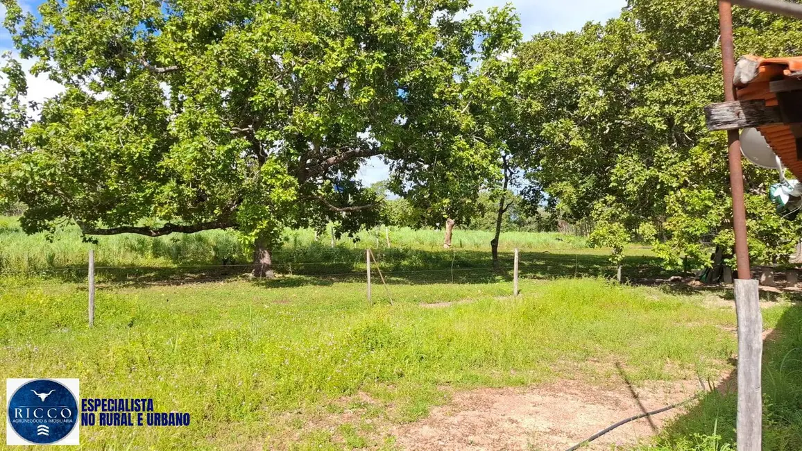 Foto 5 de Fazenda / Haras à venda, 194m2 em Dianopolis - TO