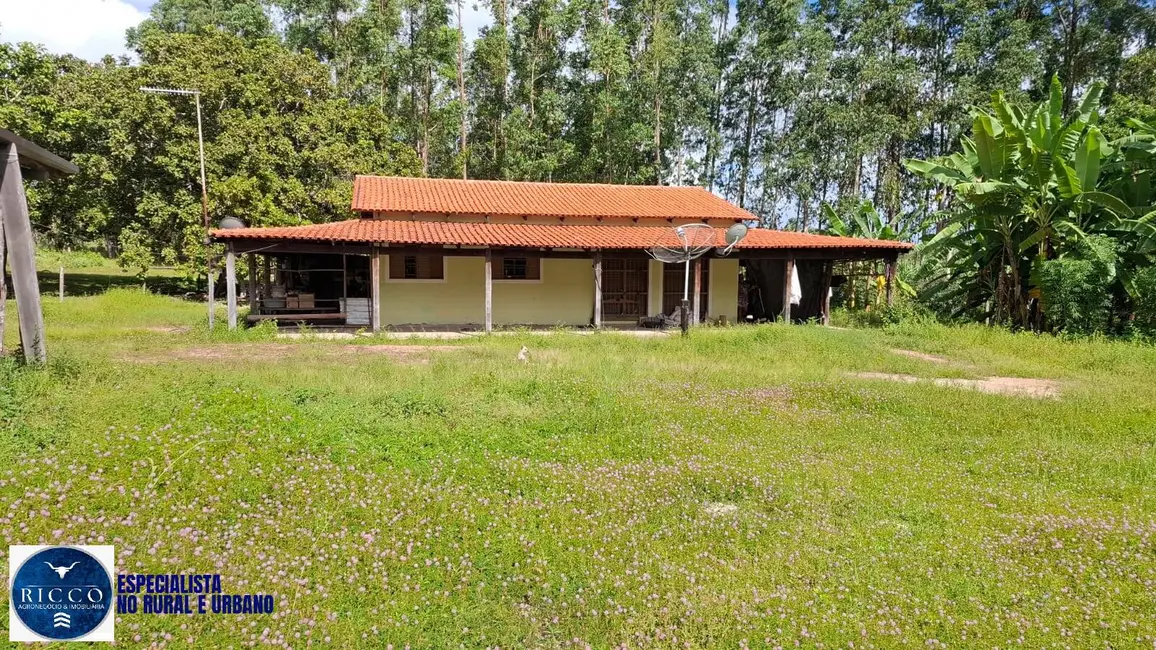 Foto 2 de Fazenda / Haras à venda, 194m2 em Dianopolis - TO