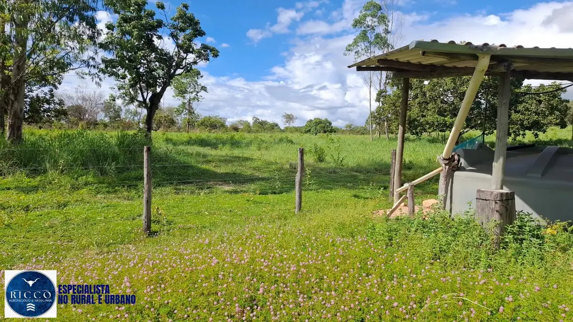Foto 8 de Fazenda / Haras à venda, 194m2 em Dianopolis - TO