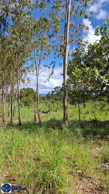 Foto 7 de Fazenda / Haras à venda, 194m2 em Dianopolis - TO