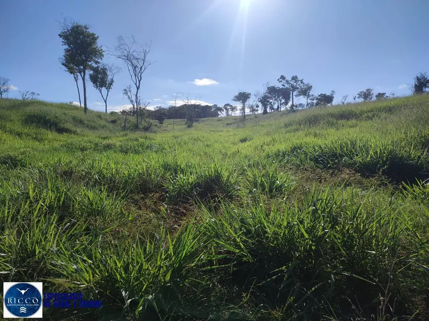 Foto 8 de Fazenda / Haras à venda, 20m2 em Novo Brasil - GO