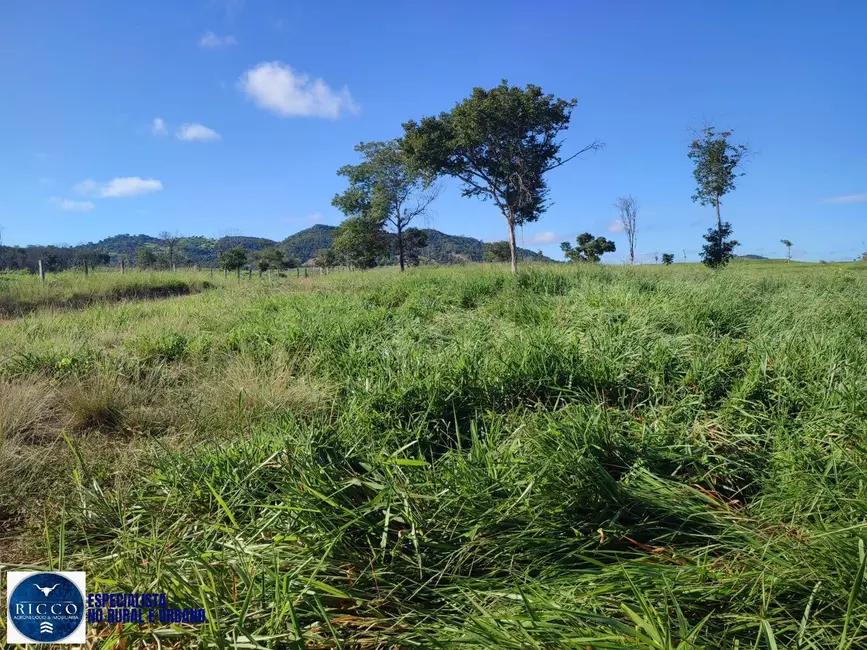 Foto 4 de Fazenda / Haras à venda, 20m2 em Novo Brasil - GO