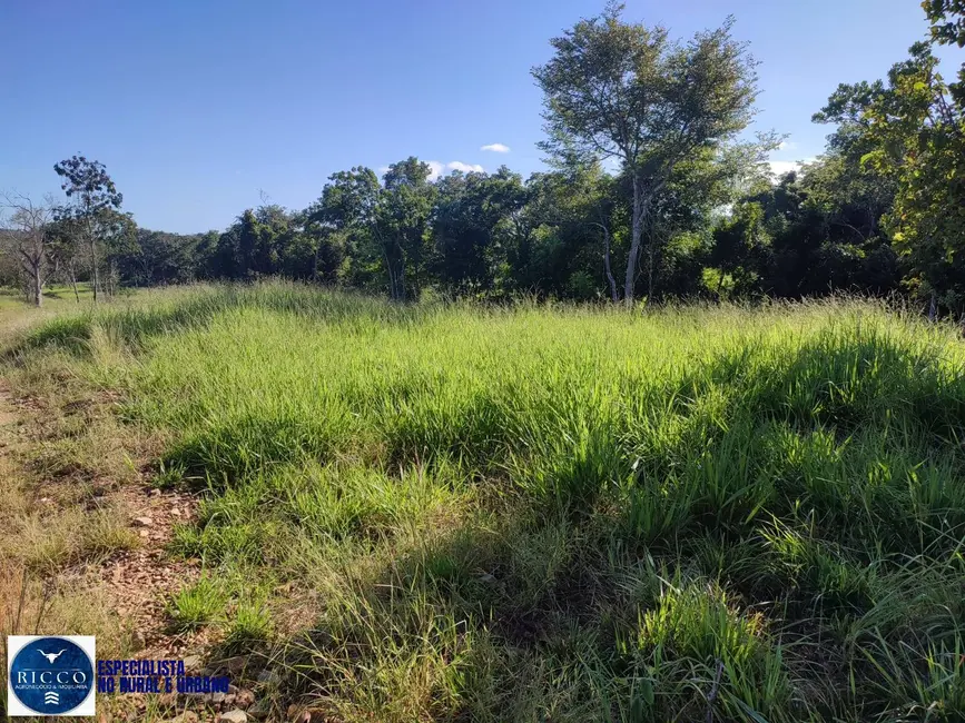 Foto 7 de Fazenda / Haras à venda, 20m2 em Novo Brasil - GO