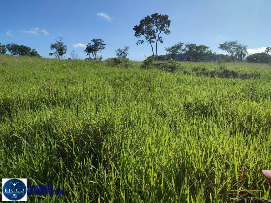 Foto 2 de Fazenda / Haras à venda, 20m2 em Novo Brasil - GO