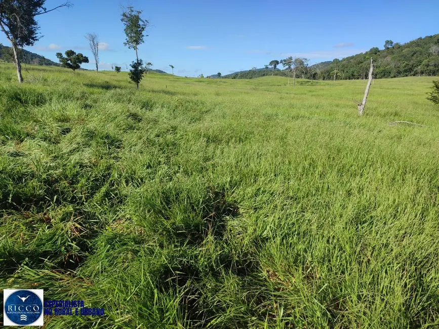 Foto 3 de Fazenda / Haras à venda, 20m2 em Novo Brasil - GO