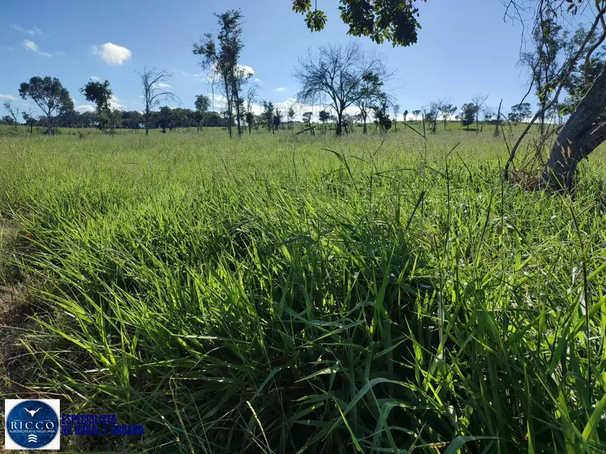 Foto 5 de Fazenda / Haras à venda, 20m2 em Novo Brasil - GO