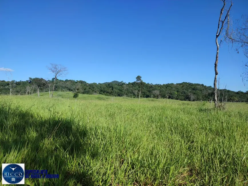 Foto 6 de Fazenda / Haras à venda, 20m2 em Novo Brasil - GO