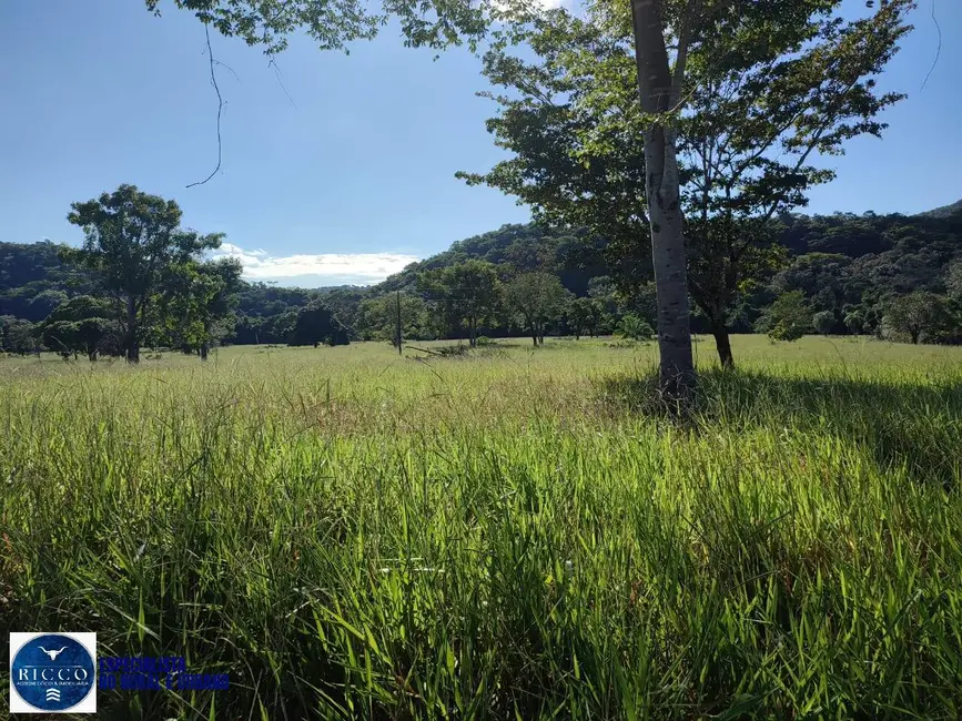 Foto 1 de Fazenda / Haras à venda, 20m2 em Novo Brasil - GO