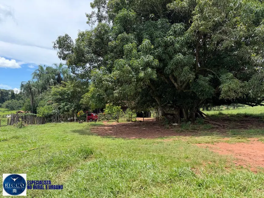 Foto 6 de Fazenda / Haras à venda, 38m2 em Santa Rosa De Goias - GO