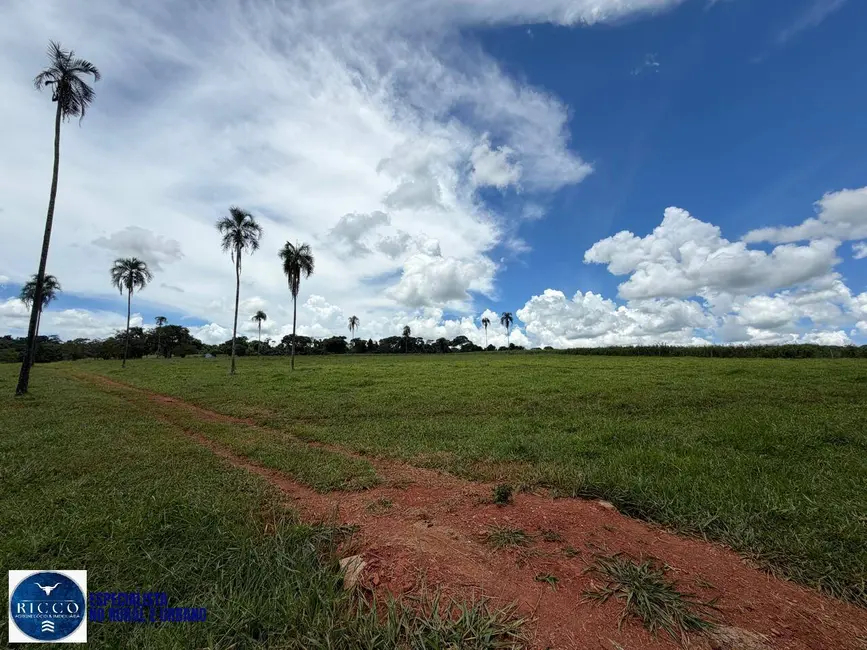 Foto 5 de Fazenda / Haras à venda, 38m2 em Santa Rosa De Goias - GO