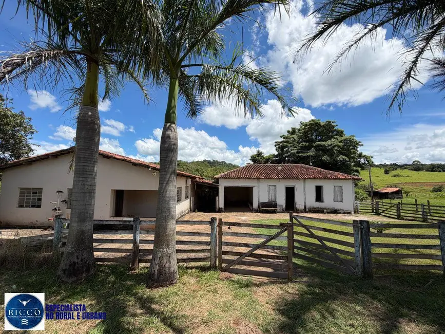 Foto 3 de Chácara à venda em Inhumas - GO