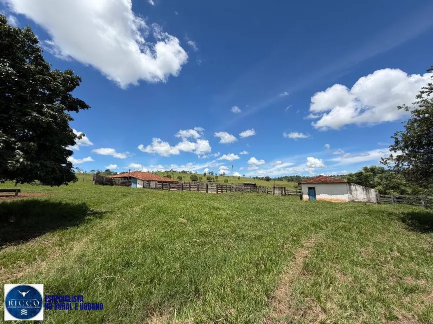 Foto 6 de Chácara à venda em Inhumas - GO